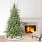 7.5ft. Pre-Lit Miracle Shape™ Alberta Spruce Artificial Christmas Tree, Dual-Color LED Lights
